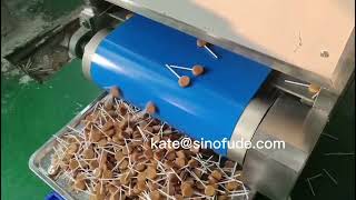 full automatic lollipop candy making machine flat lollipop candy machine
