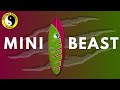 Most popular  versatile surfboard of 2023  the mini beast