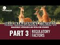 Deer management concepts management approaches and population dynamics  part 3