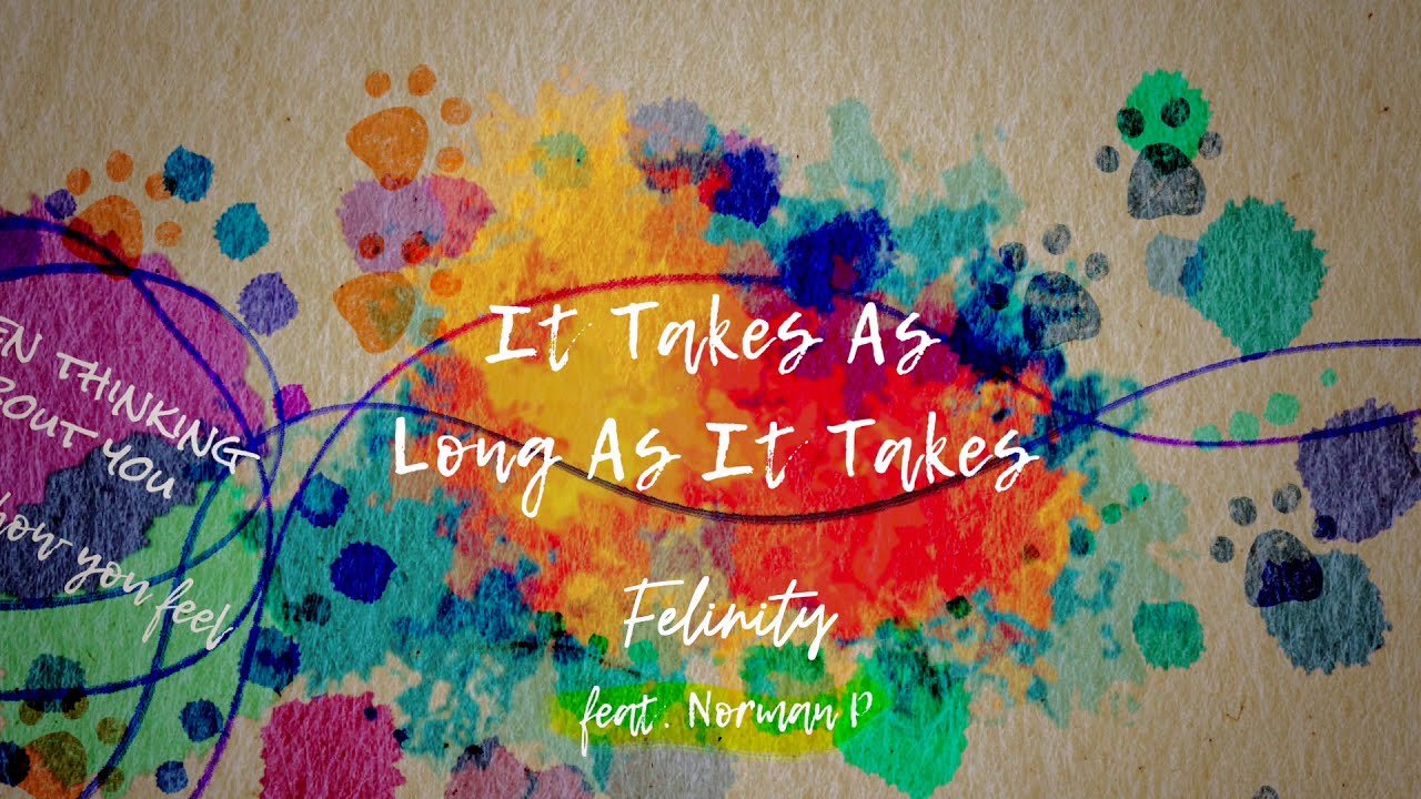 FELINITY - "It Takes As Long As It Takes" | Teaser