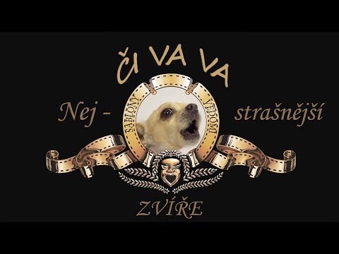 Video: Čo Je Týmto Spôsobom Vyslovená čivava?