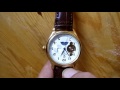 Tevise Tourbillon Design Leather Band Men a good automatic watch with a great price