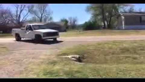 1990 Chevrolet 1500 Cheyenne haulin ass (open headers)