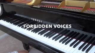 Video thumbnail of "Forbidden Voices - Martin Garrix [Piano Cover]"