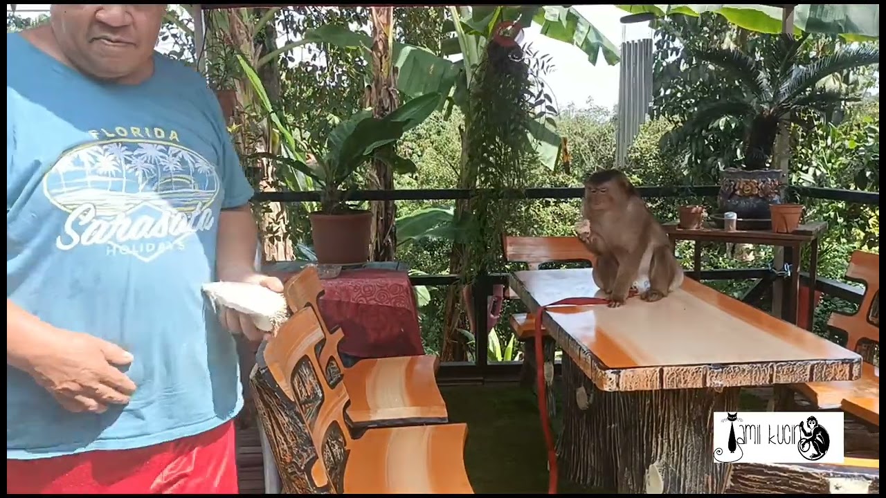 Cutting Shaki And Shakina Nail