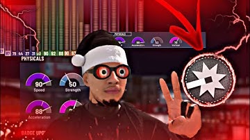 Best PlayShot/Offensive Threat Build in 2k20