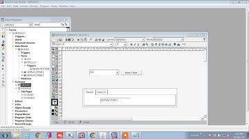 how to show/hide columns by using list buttons and show/hide canvas in oracle forms