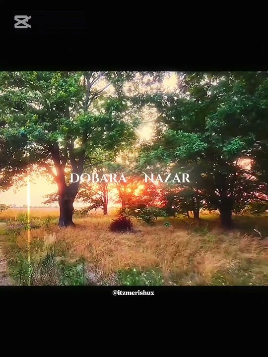Pal Jeena Muhal || Aesthetic Lyrics Video || #trending #song #aesthetic #lyrics #love #shortsfeed