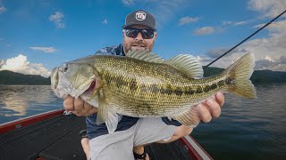 Wakebait and Topwater Fishing! BIG FISH Bite When The Weather Is CRAZY!!!