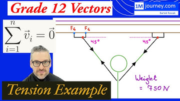 Grade 12 Vectors - Equilibrium Example Tension Forces