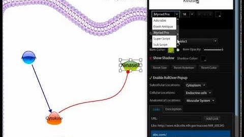 Inserting Symbols into Text using Alt Codes