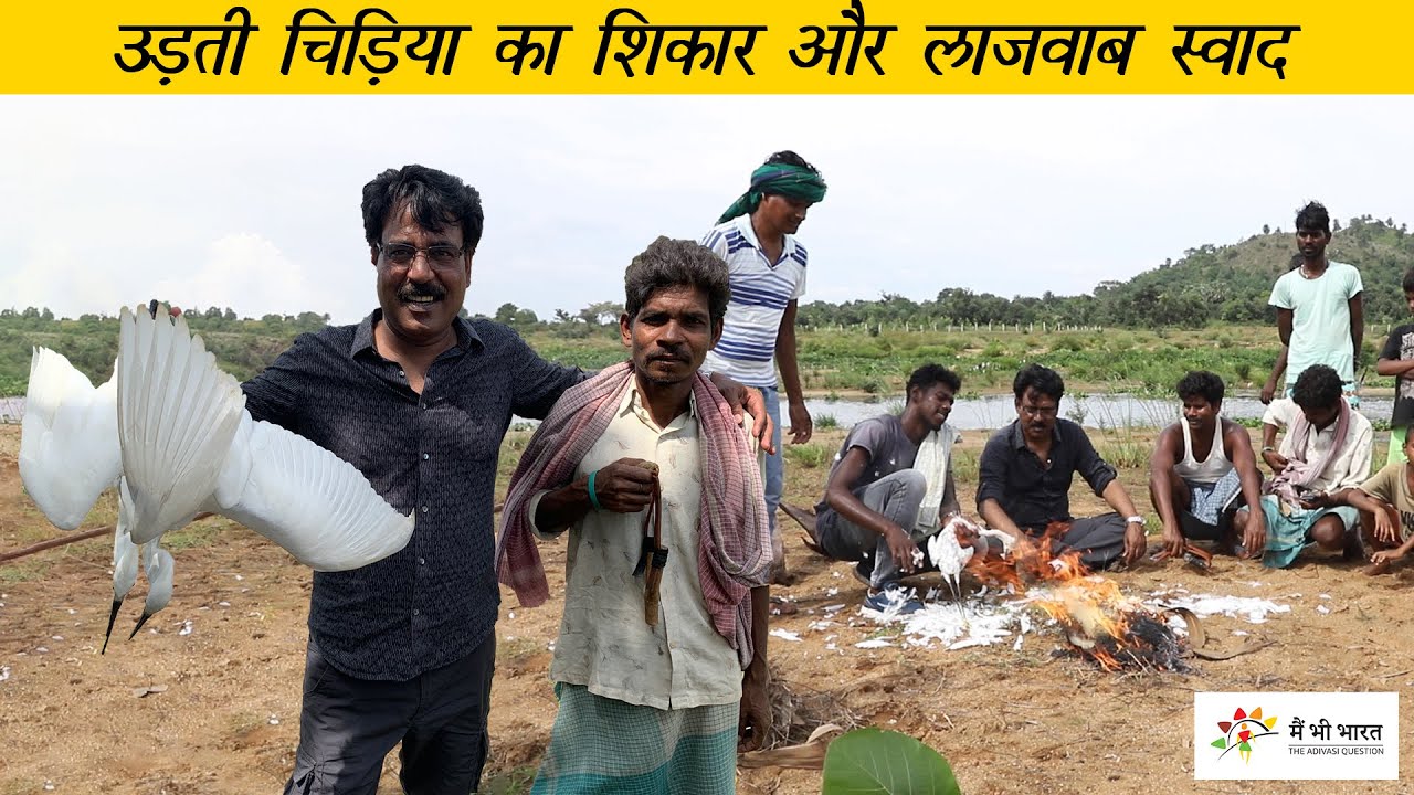 Delicious  Haron/Crane meat by Santali adivasi | गुलेल से मारी चिड़िया का लाजवाब स्वाद