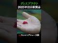 【ディスプラウト】2025年注目の新製品！　#ディスプラウト #エリアトラウト #釣り