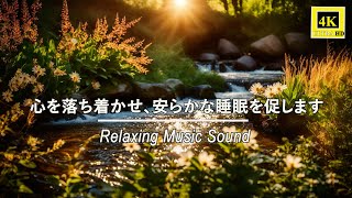 【自然の音】静かな川と森の鳥たち: 精神を落ち着かせ、安眠を促すメロディ