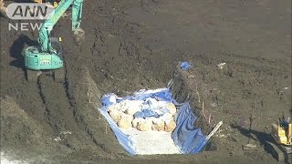 感染“ニワトリ”埋める作業続く　新潟・鳥インフル(16/12/05)
