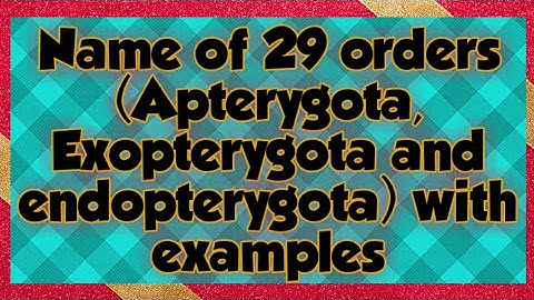 AN INTRODUCTION TO INSECT ORDERS [ BY - BHAWNA JHA]