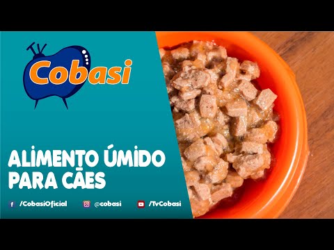 Vídeo: O Que Faz Parte Da Produção De Comida úmida Para Animais De Estimação?