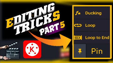 KINEMASTER VIDEO EDITING TRICKS PART 5 // what is DUCKING. LOOP. PIN. INFORMATION.