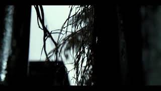 Video mentahan air hujan untuk editting video