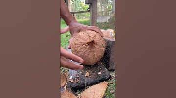 skill of removing dry coconuts from its shell