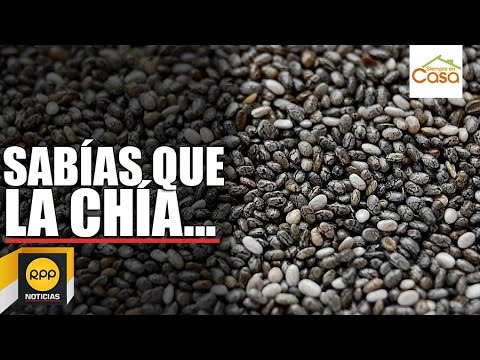 los beneficios de agotar chia