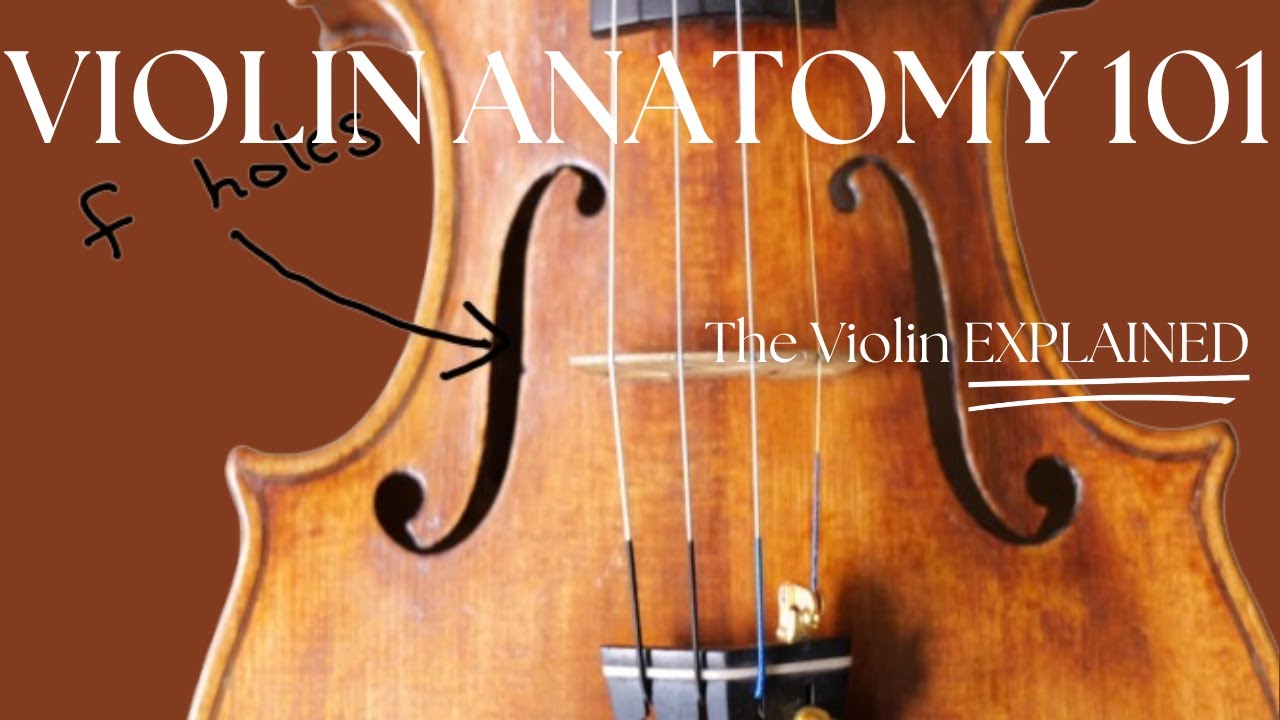 Explained: Parts of the Violin