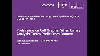 Pretraining on Call Graphs: When Binary Analysis Tasks Profit From Context (ICPC '26)