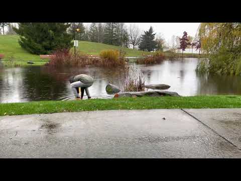 Conversation Chanson