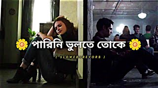 alo nei dube achi ondhokare আলো নেই ডুবে আছি অন্ধকারে /Jeet bangla song imran