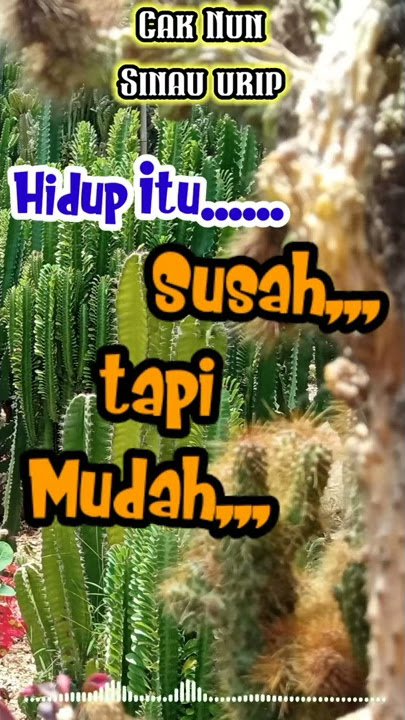 Sinau Urip - Cak Nun | Story Wa #Shorts
