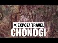 Chongoni (Africa) Vacation Travel Video Guide