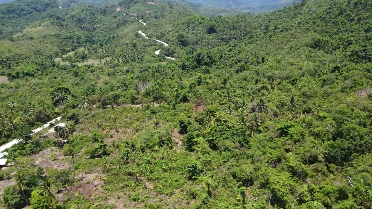 Prime Overlooking Property — Tiniguiban — video 1