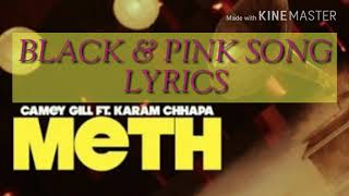 Pink and black (song_lyrics) -