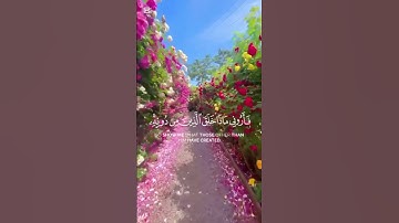 الآية (11)من سورة لقمان للقارئ الشيخ ياسر الدوسري #قرآن #nature #اكسبلور#دويتو