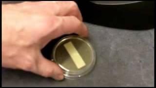 Fungal contact and tease tape sampling