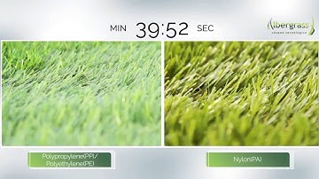 Artificial Grass Albergrass Instant Recovery Technology (The Best recovery to tread)-Short