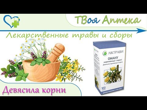 Девясила корневища и корни - показания, описание, отзывы (Пневмония, Энтероколиты, Гастрит, Бронхит)