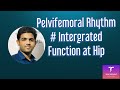 Pelvifemoral Rhythm- Integrated Function at Hip ( SIMPLIFIED)