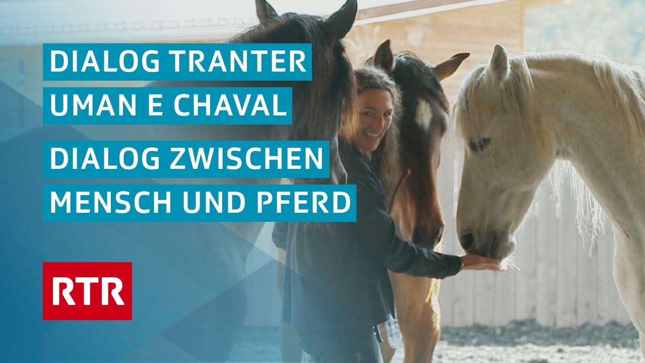 Dialog zwischen Mensch und Pferd | Dialog tranter uman ed chaval | Doku | Cuntrasts | RTR