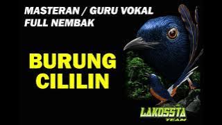 MASTERAN / GURU VOKAL SUARA BURUNG CILILIN FULL NEMBAK #muraibatu #cililin