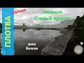 Русская рыбалка 4 - река Волхов - Крупная плотва со старого причала