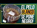 ¡De canoso y estancado a oscuro y larguísimo!