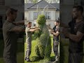 Luxury Mansion Rabbit Topiary Build 🐇🌿 | Hyper Real Timelapse