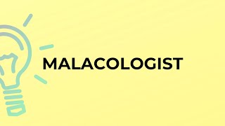What is the meaning of the word MALACOLOGIST