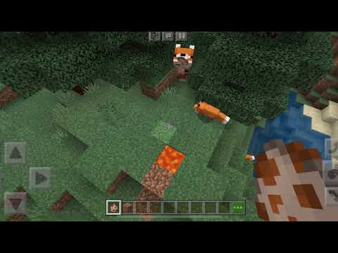 Fox commits suicide