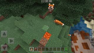 Fox commits suicide
