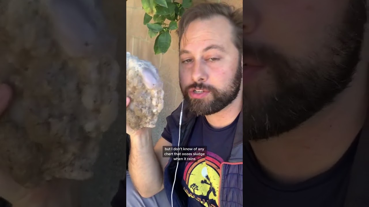#rockhound #rockhounding #mystery #agate #geode #crystalgems #crystals #geology #alien #outerspace