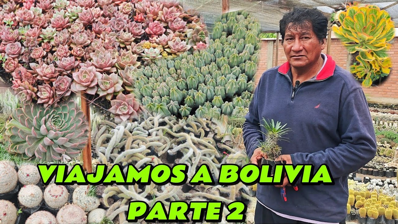 SECRETOS DE CULTIVADOR :30 AÑOS CULTIVANDO CACTUS Y SUCULENTAS