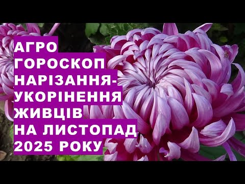 Аграрний гороскоп нарізки та укорінення живців рослин на Листопад 2025 року