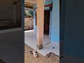 kaffa ngamuk,gara² gk ikut anter sekolah #shortsy